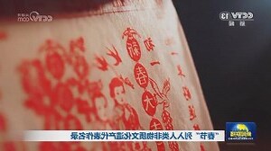 2024 年份